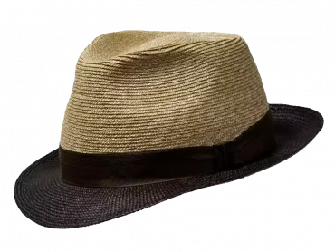 Trilby Bremgarter Panama- & Weizenstroh