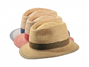 leichter Strohhut Traveler
