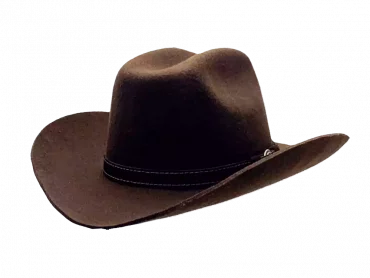 Westernhut Rodeo Braun Mit Lederhutband