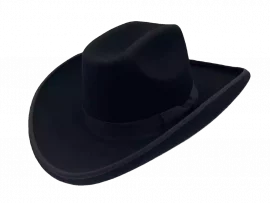 Westernhut Sonora