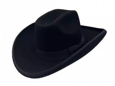 Westernhut Sonora
