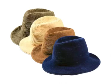 Fedora Wollhut