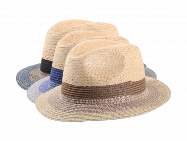 leichter Strohhut Traveler