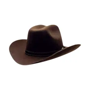 Westernhut Rodeo aus Wollfilz in Dunkelbraun mit Rebsband