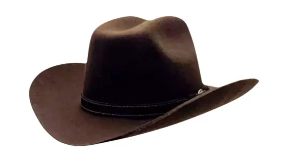 Westernhut Rodeo aus Wollfilz in Dunkelbraun mit Rebsband