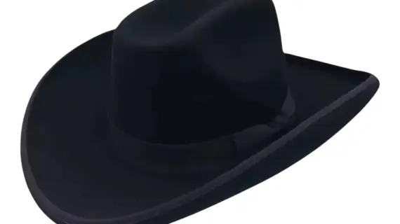 Sonora Western Filzhut